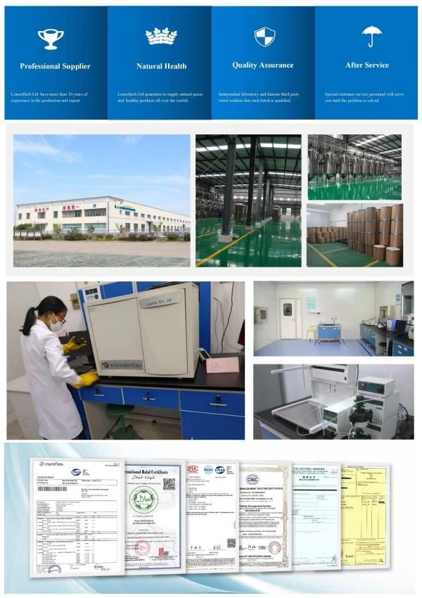 Manufacturer of Lion's Mane Mushroom Extract