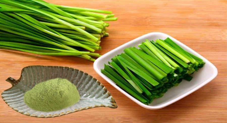 Leek Powder