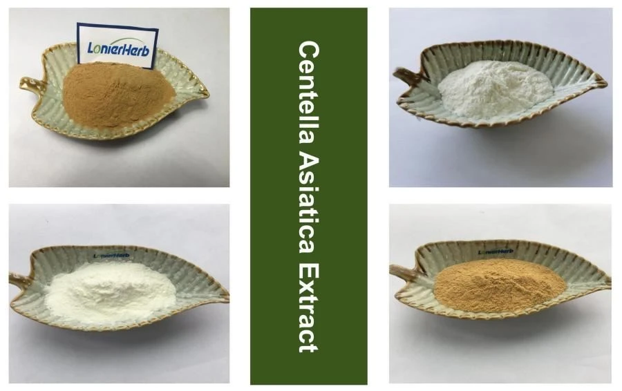 Centella Asiatica Extract Centella Asiatica Extract