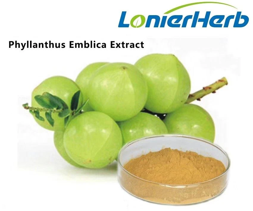 Amla Fruit extract