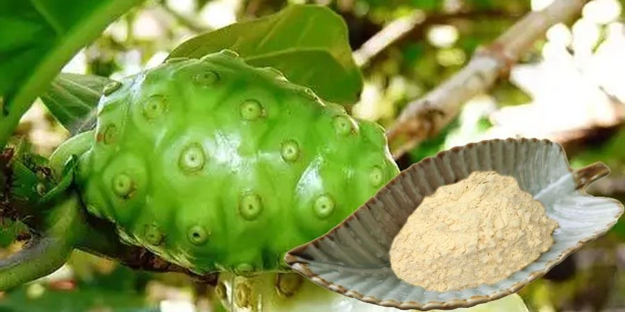 Noni Juice Powder Noni Juice Powder