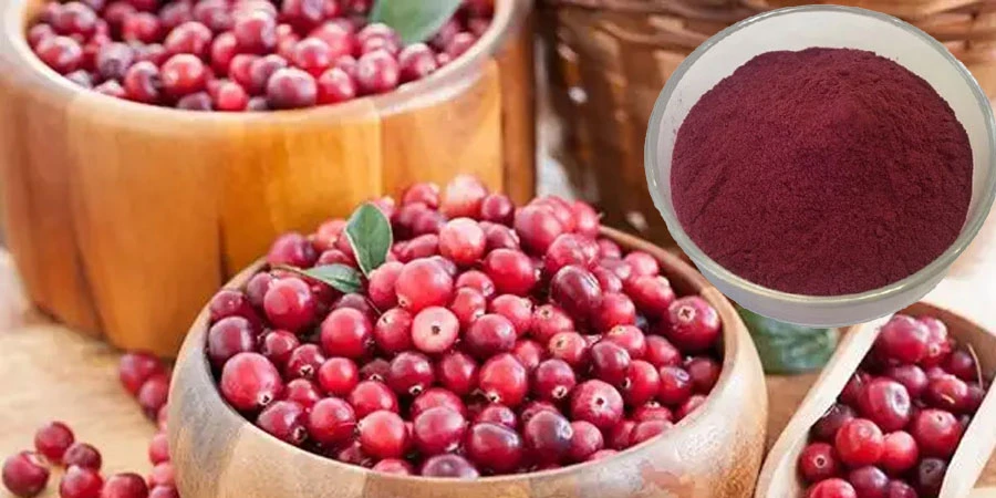 Cranberry Fruit Powder Cranberry Fruit Powder