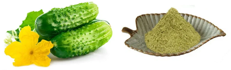 natural Dried Cucumber Powder