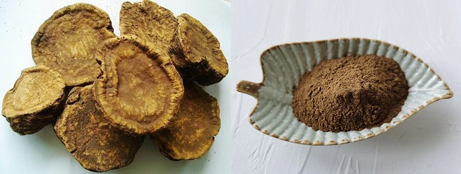 Rheum Rhaponticum Extract price Rheum Rhaponticum Extract price