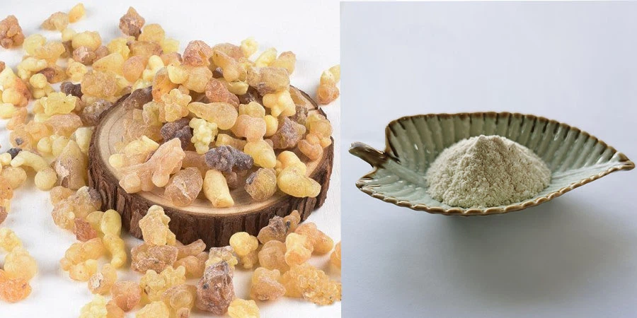 Mastic Gum Extract Mastic Gum Extract