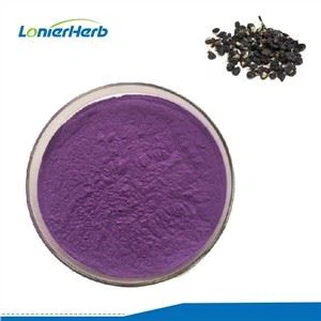 কালো গোজিবেরি জুস পাউডার