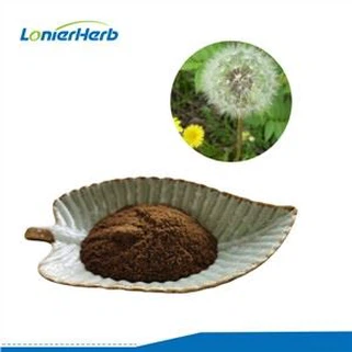 ড্যান্ডেলিয়ন এক্সট্র্যাক্ট পাউডার