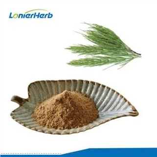 Horsetail নির্যাস পাউডার