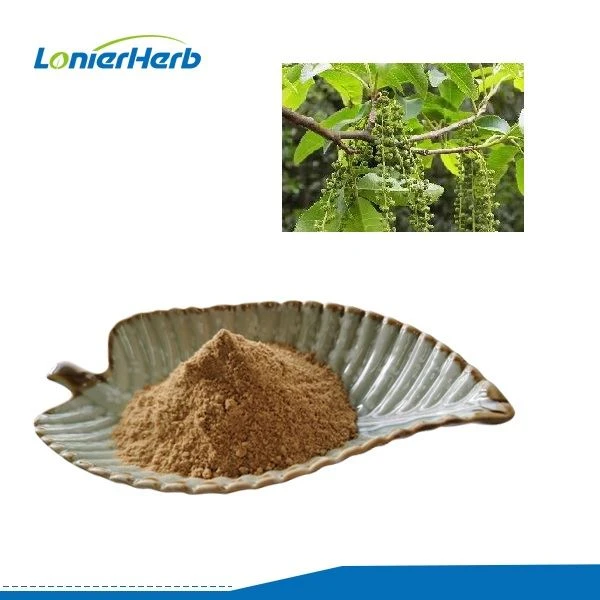 সাইক্লোকারিয়া পলিউরাস নির্যাস