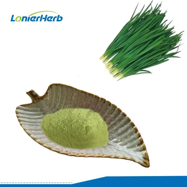 শুকনো লিক পাউডার