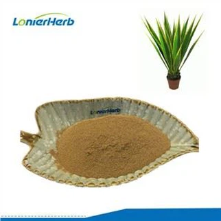 Agave Americana পাতার নির্যাস