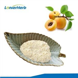 এপ্রিকট ফ্রুট পাউডার