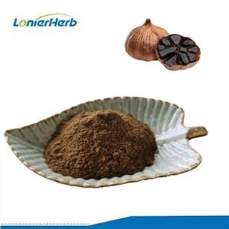 কালো রসুন নির্যাস পাউডার