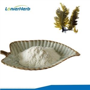 Fucoidan এক্সট্র্যাক্ট পাউডার