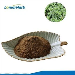 পার্সলেন ভেষজ নির্যাস