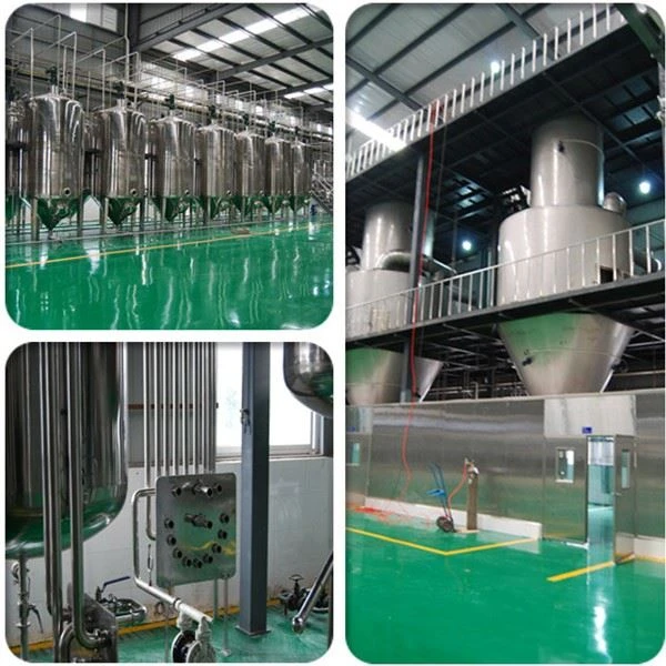 Valine Powder