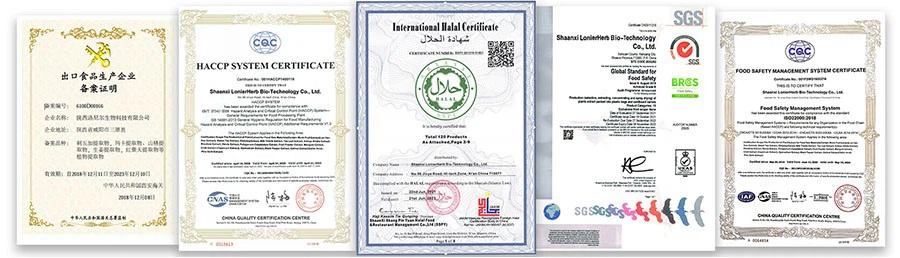 Certificate-2 Certificate-2