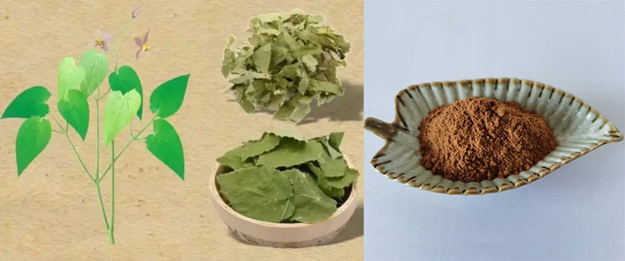 Epimedium Leaf Extract Epimedium Leaf Extract